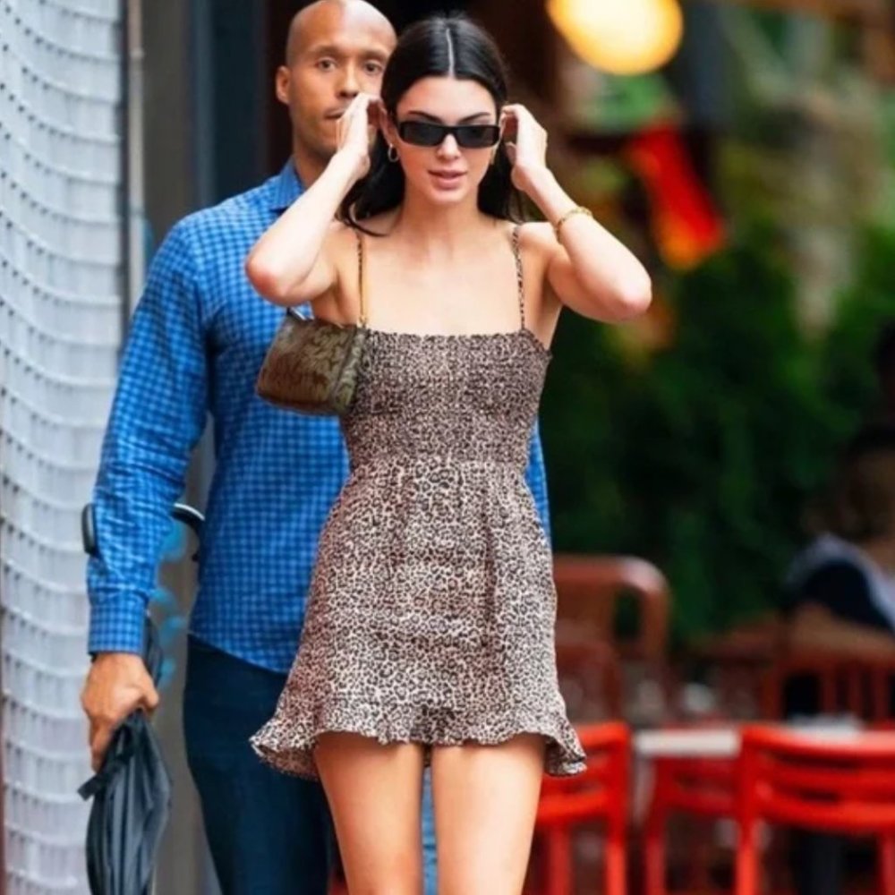 Reformation Rouen Leopard Print Shirred Mini Dress (Size 2)